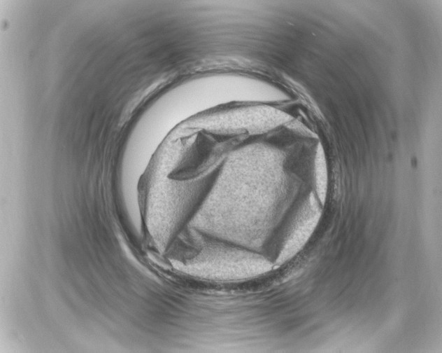 X0000085320538200704092351