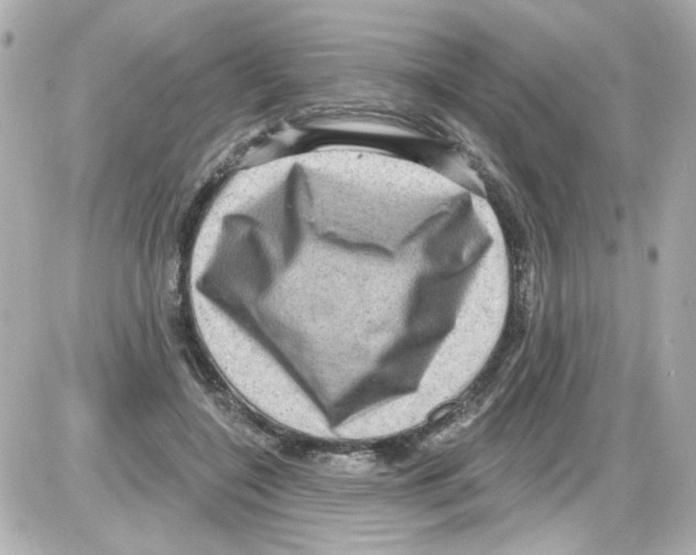 X0000085320548200704092351