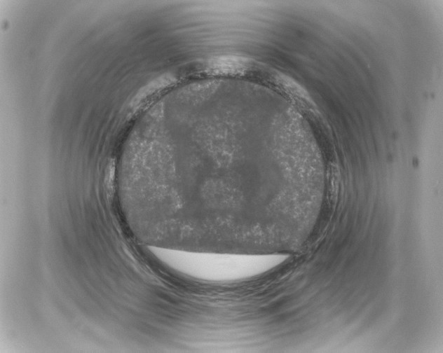 X0000085320550200704092351