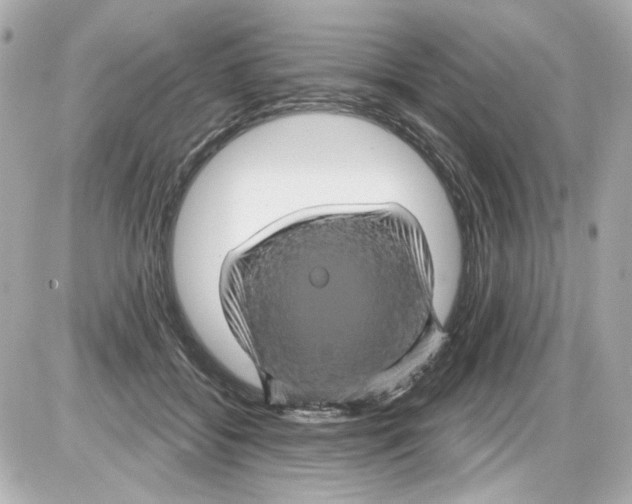 X0000085320556200704092351