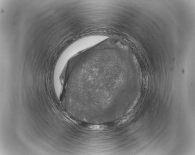 X0000085320558200704092351