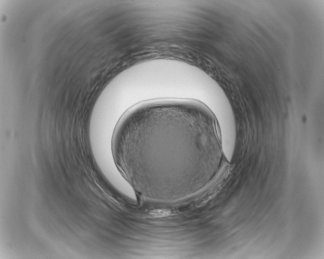 X0000085320562200704092351