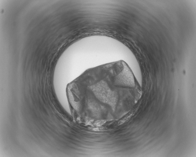 X0000085320564200704092351