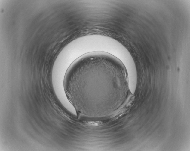 X0000085320566200704092351