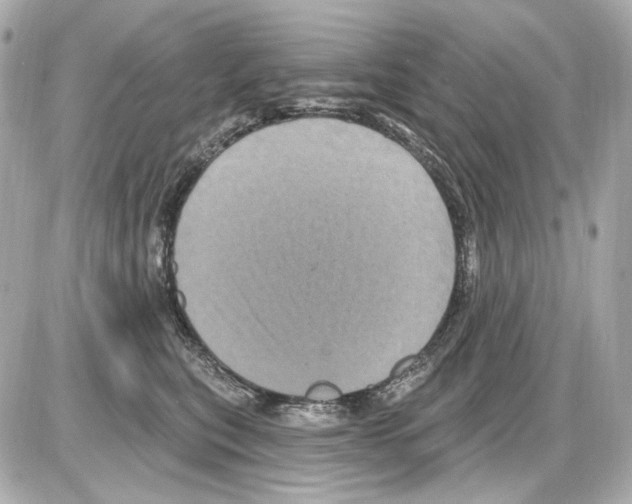 X0000085320567200704092351