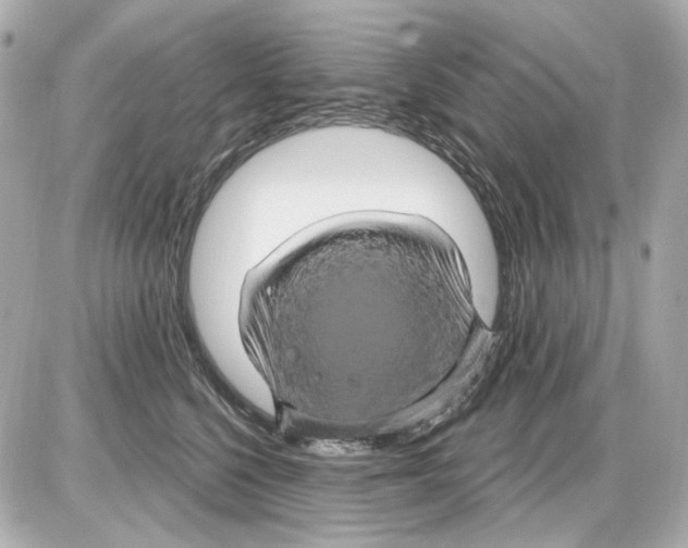 X0000085320568200704092351