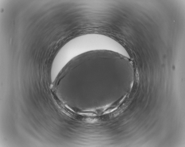 X0000085320570200704092352