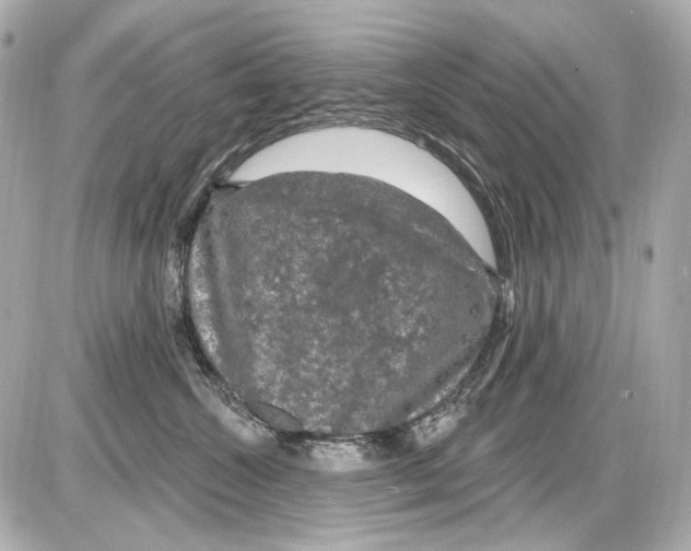 X0000085320572200704092352