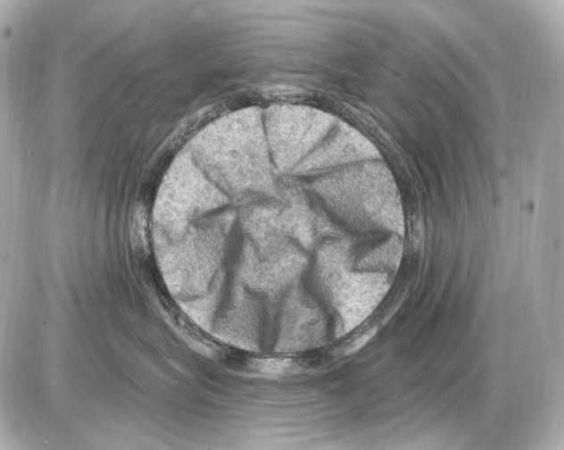 X0000085320575200704092352