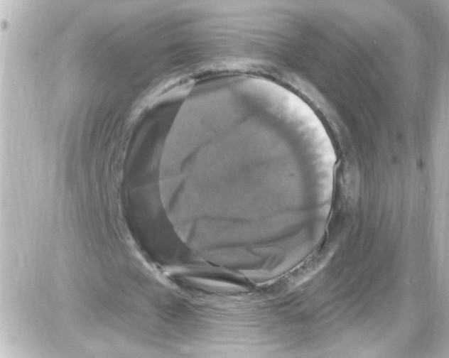 X0000085320577200704092351