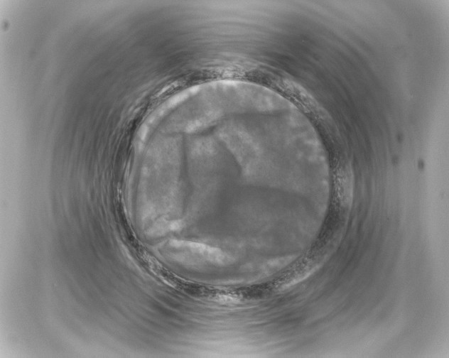 X0000085320594200704092351