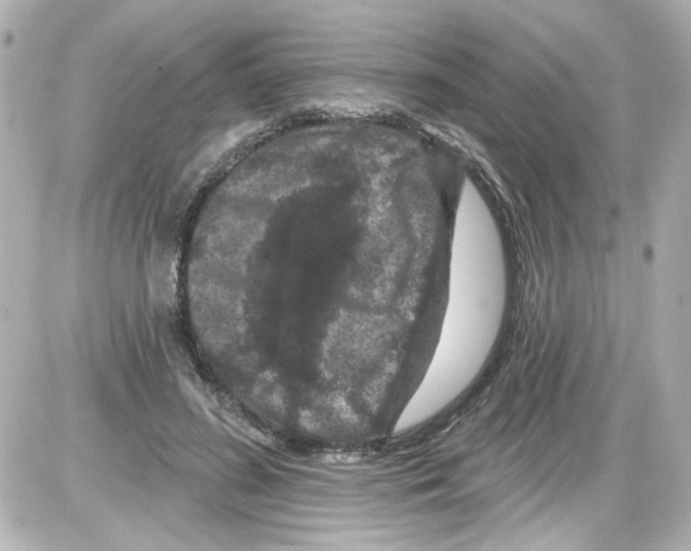 X0000085320596200704092350
