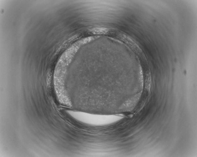 X0000085320604200704092350