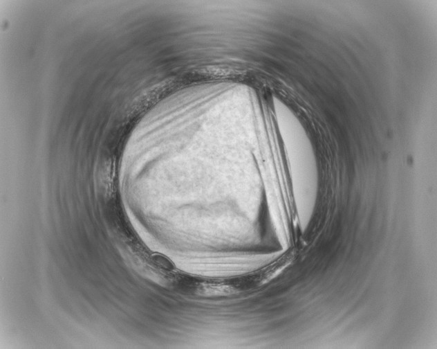 X0000085320605200704092350