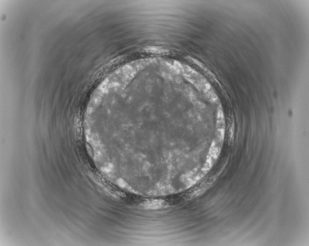 X0000085320609200704092350