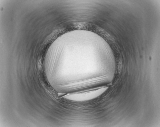 X0000085320611200704092350