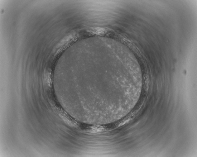 X0000085320612200704092350