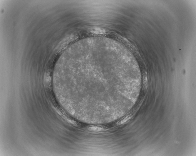 X0000085320614200704092350