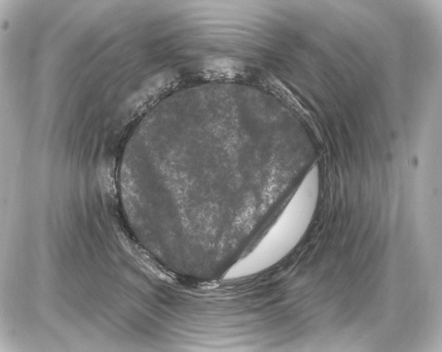 X0000085320616200704092350