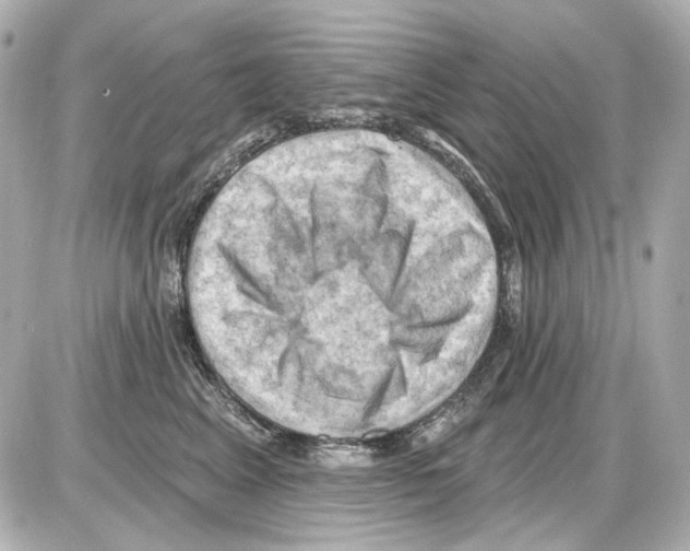 X0000085320617200704092350