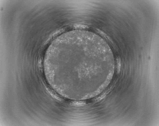 X0000085320619200704092350