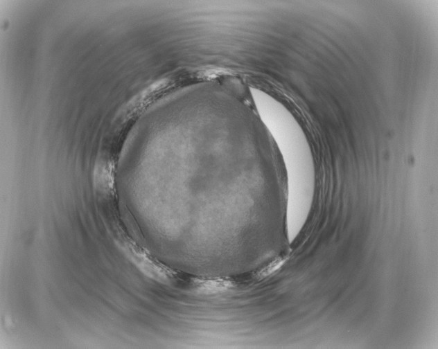X0000085320621200704092350
