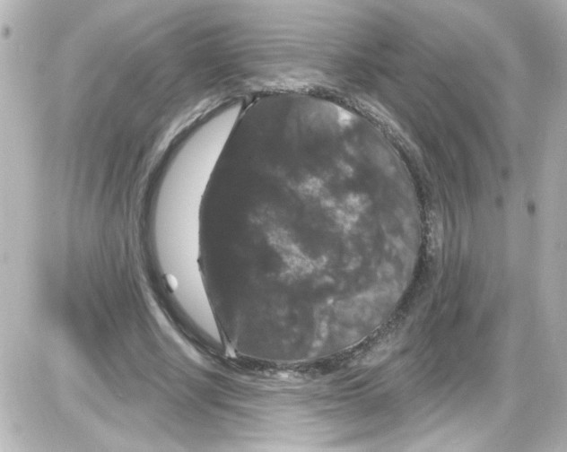 X0000085320634200704092349