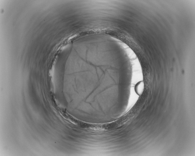 X0000085320644200704092350