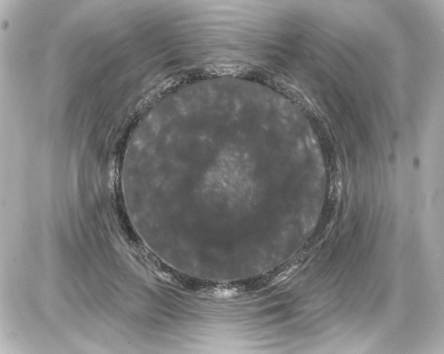 X0000085320647200704092350