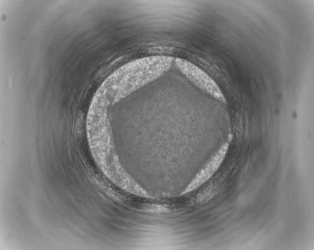 X0000085320649200704092350