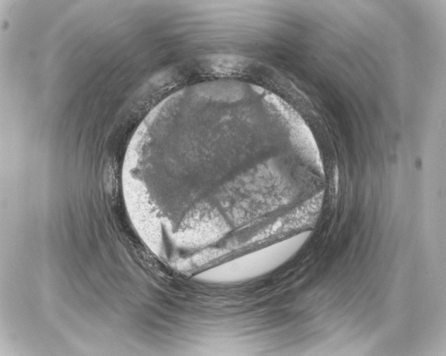 X0000085320651200704092350