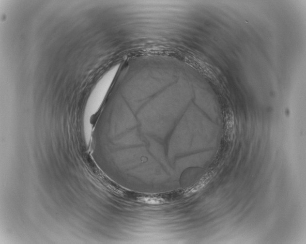 X0000085320654200704092350