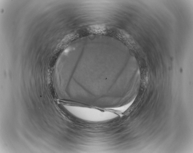 X0000085320658200704092350