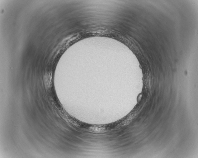 X0000085320660200704092350