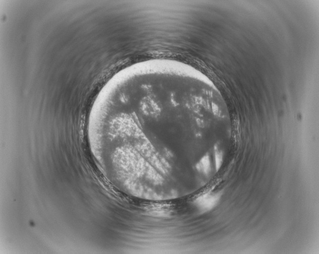X0000085320664200704092350