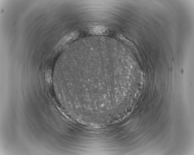 X0000085320665200704092350