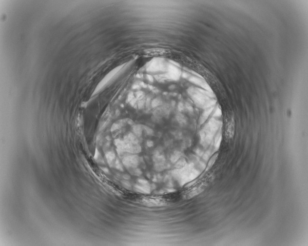 X0000085320666200704092350