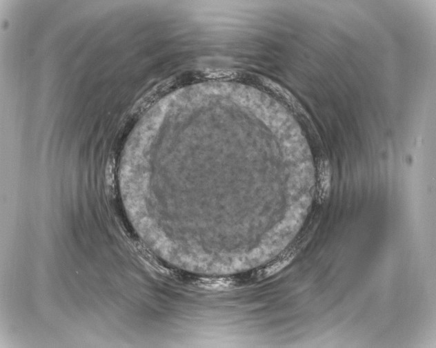 X0000085320667200704092350