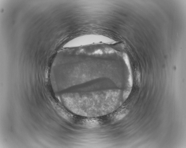 X0000085320668200704092350