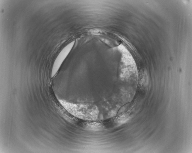 X0000085320669200704092350