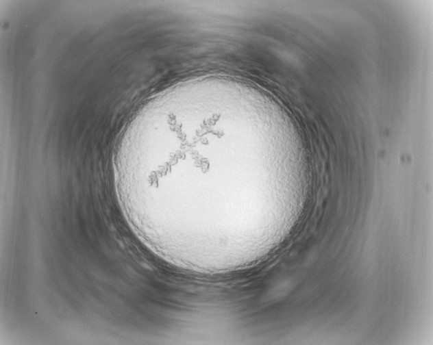 X0000085320672200704092350