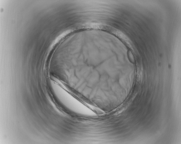 X0000085320674200704092349