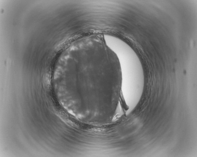 X0000085320691200704092349