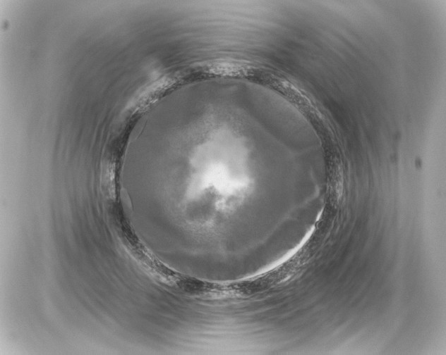 X0000085320696200704092349