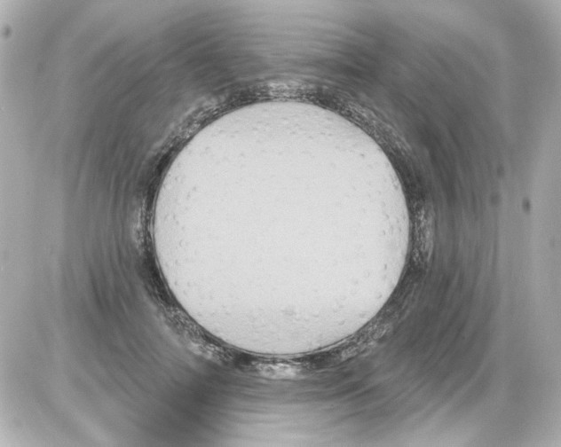 X0000085320698200704092349