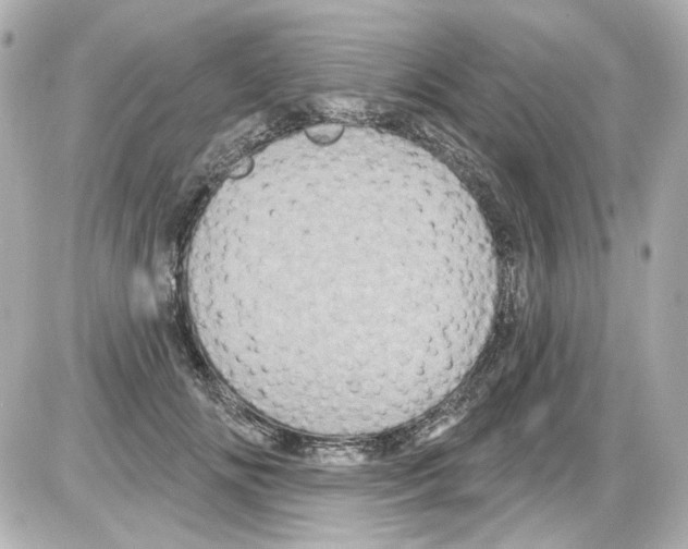 X0000085320702200704092349