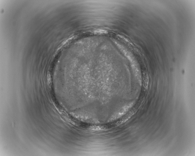 X0000085320704200704092349