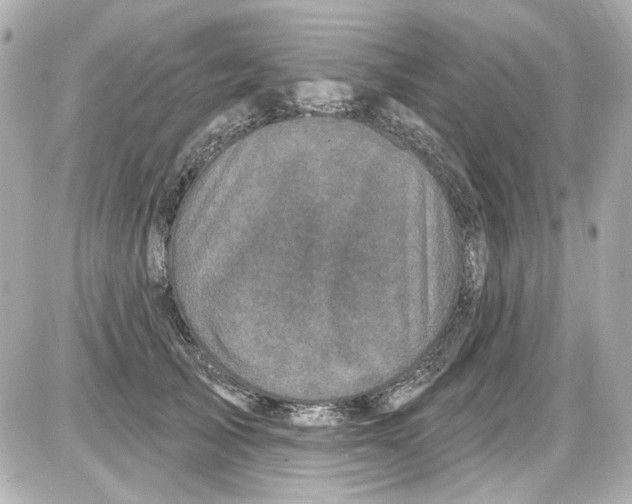 X0000085320705200704092349