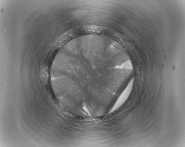 X0000085320707200704092349