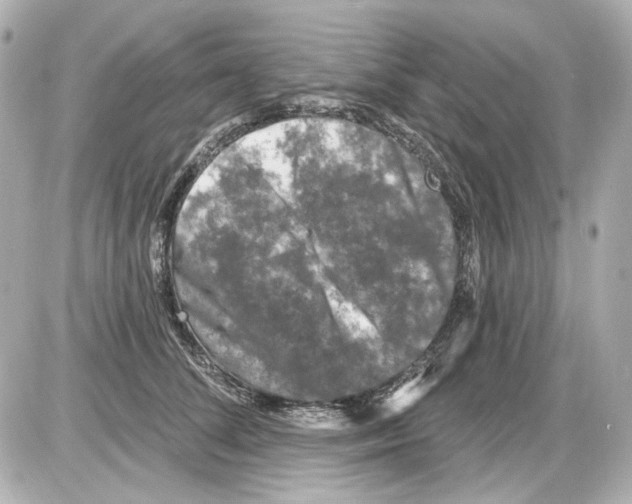 X0000085320708200704092349